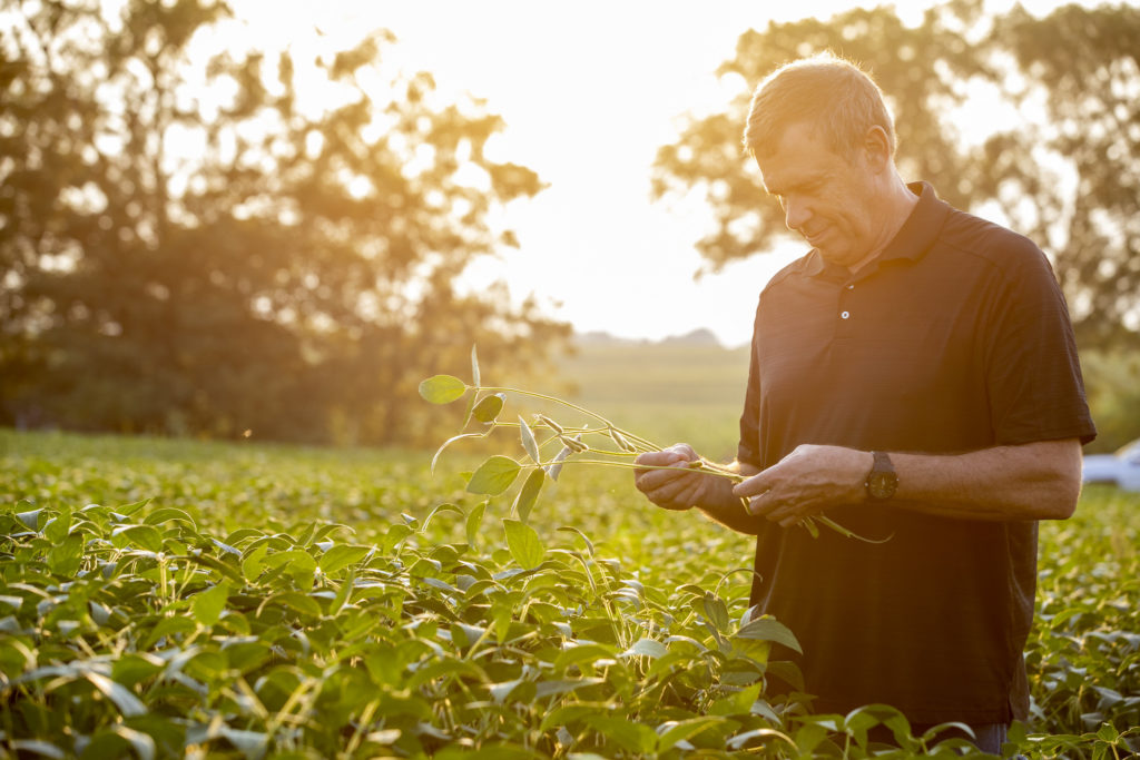 Investing Soybeans