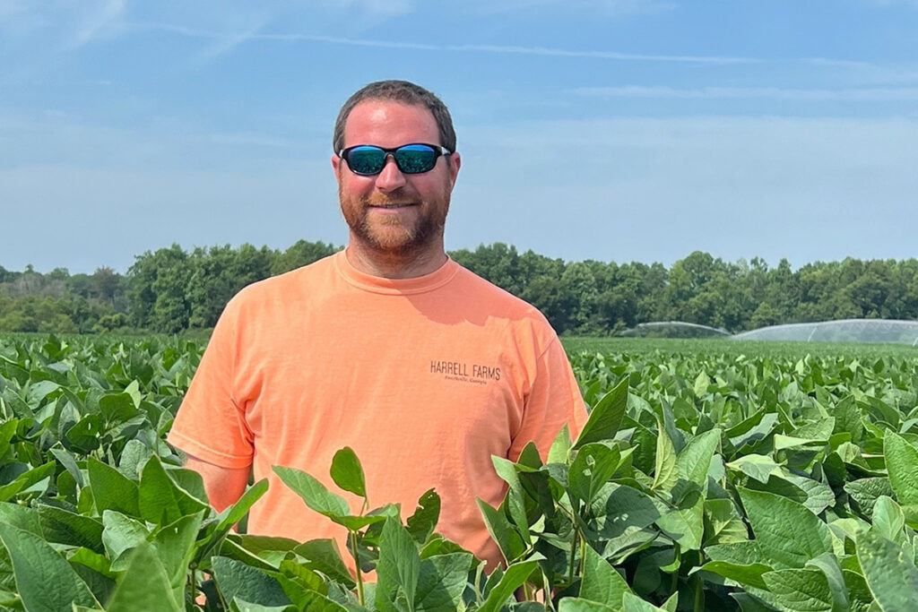 Average Soybean Yield Per Acre Ontario