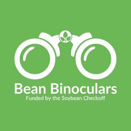 Bean Binocular logo.