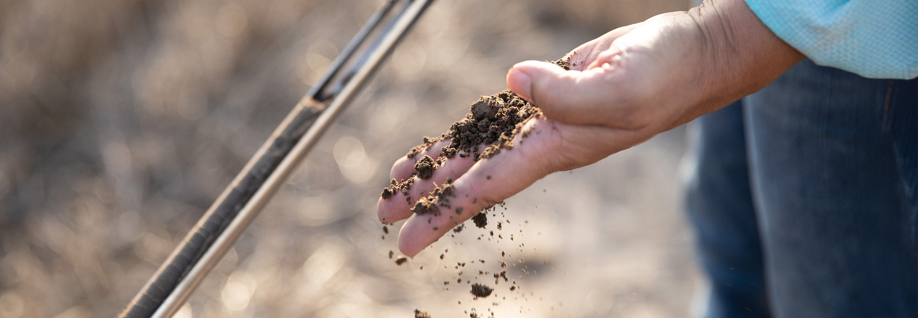 Farmer checking a dirt sample.