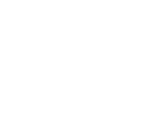 Logo for The SCN Coalition.