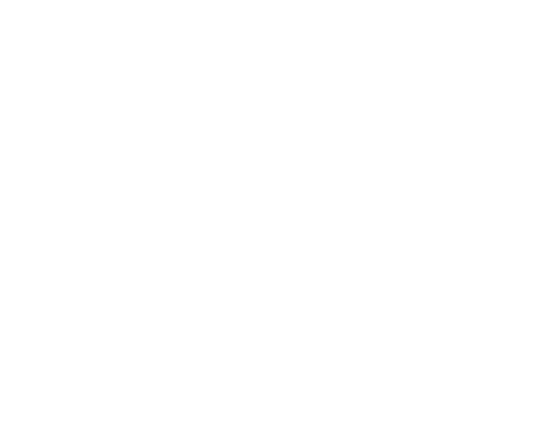 Logo for Science For Success.