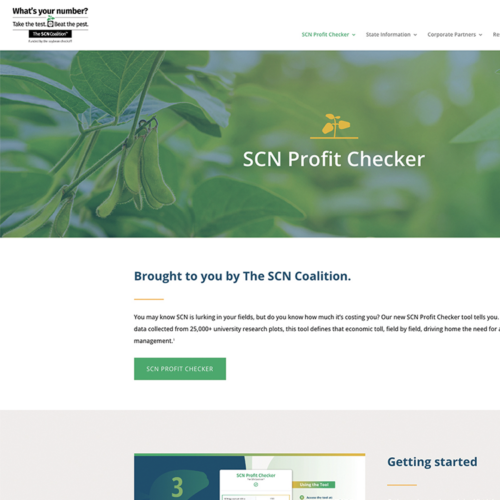 Screenshot of SCN Profit Checker.